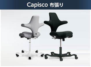カピスコ 布張りタイプ