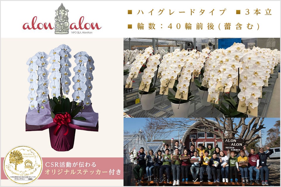 大切なお祝い事にぴったりの品質にこだわった胡蝶蘭