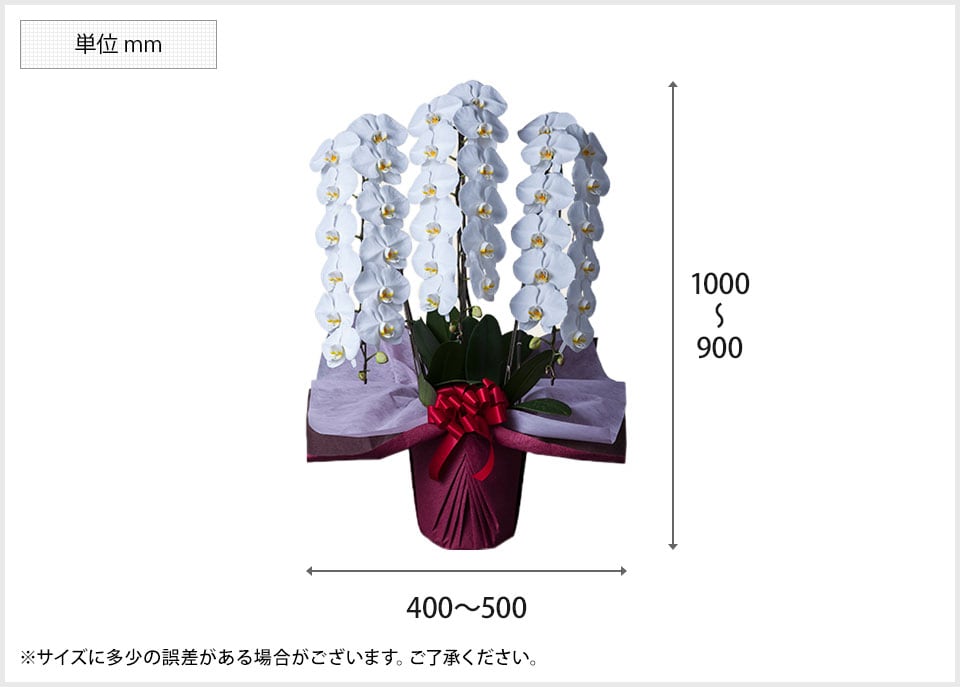 ALN-PHHG3WH 商品サイズ1