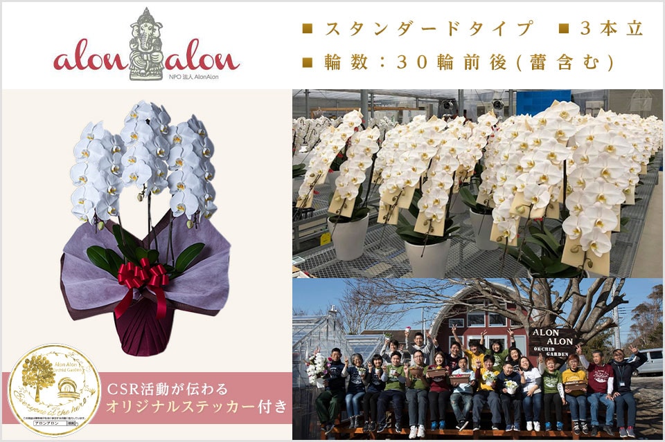 大切なお祝い事にぴったりの品質にこだわった胡蝶蘭