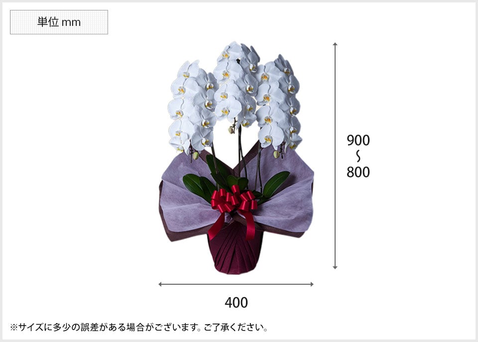 ALN-PHST3WH 商品サイズ1