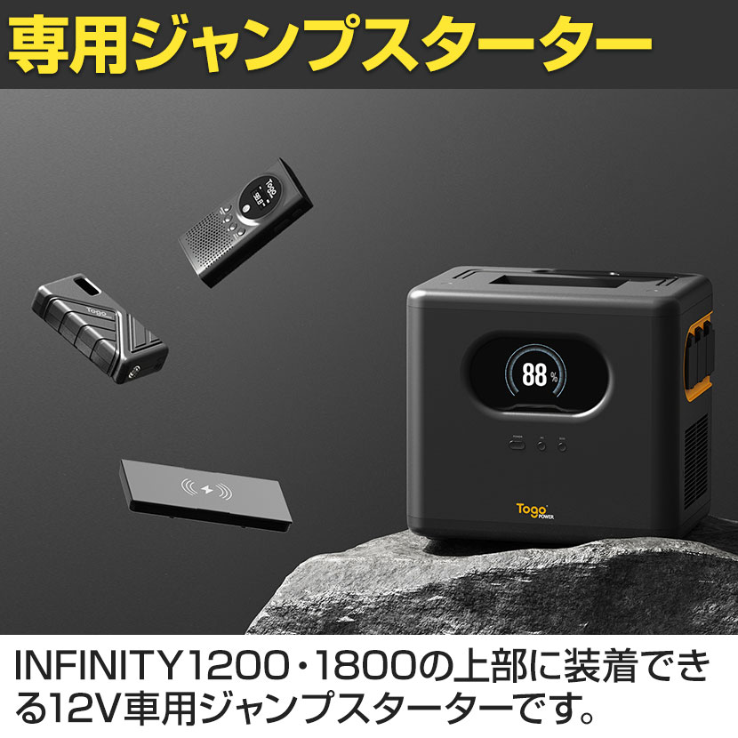 送料無料】 [オプション]TogoPower INFINITY インフィニティ