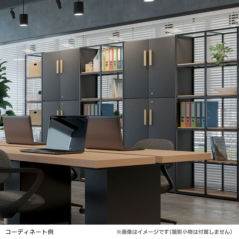 送料無料】 Work Plus JUNGLE-GYM SHELF BOARD SET ジャングルジム