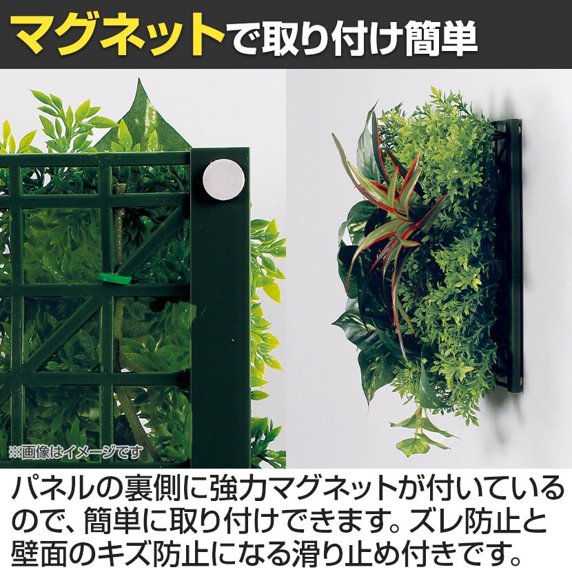 送料無料】 ベルク フェイクグリーン ウォールグリーン マグネット