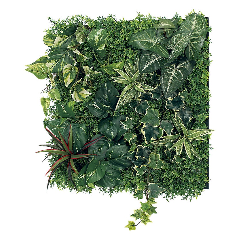 送料無料】 ベルク フェイクグリーン ウォールグリーン マグネット