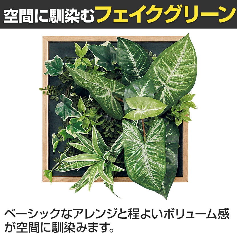 送料無料】 ベルク フェイクグリーン ウォールグリーン マグネット