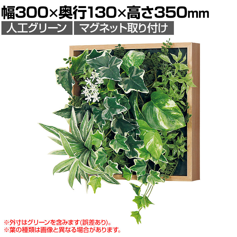 送料無料】 ベルク フェイクグリーン ウォールグリーン マグネット