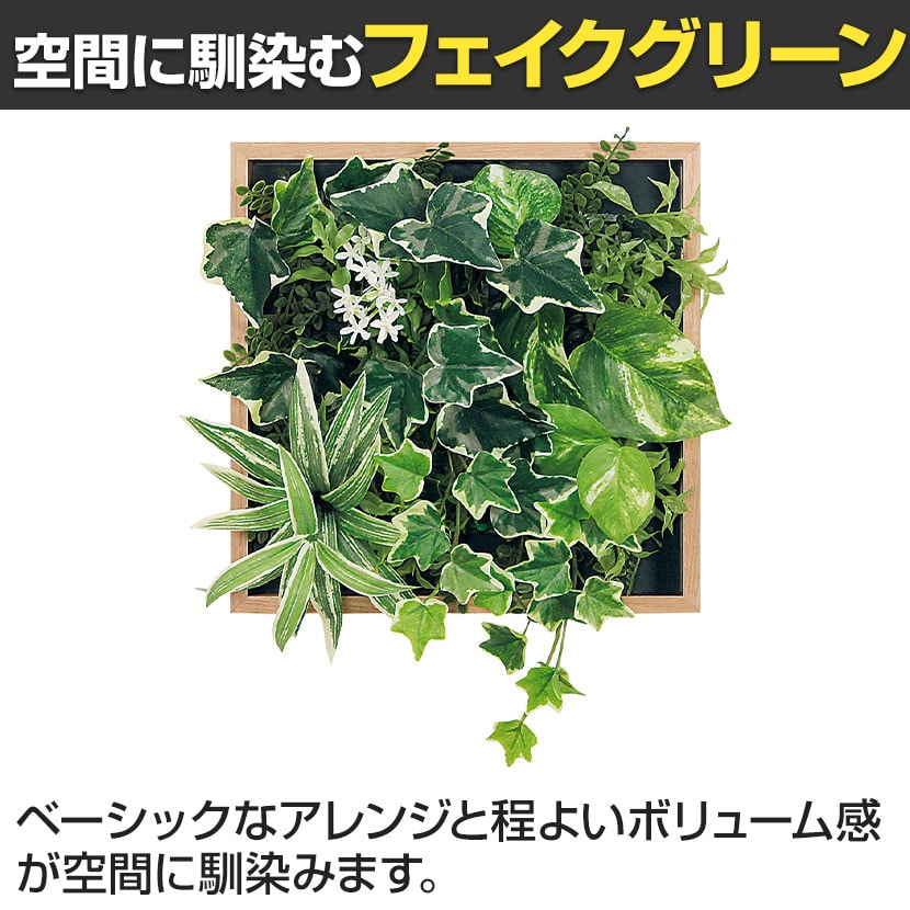 送料無料】 ベルク フェイクグリーン ウォールグリーン マグネット