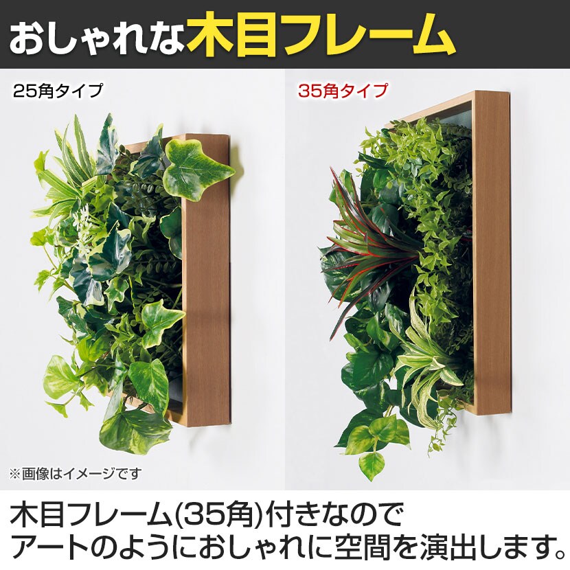 送料無料】 ベルク フェイクグリーン ウォールグリーン マグネット