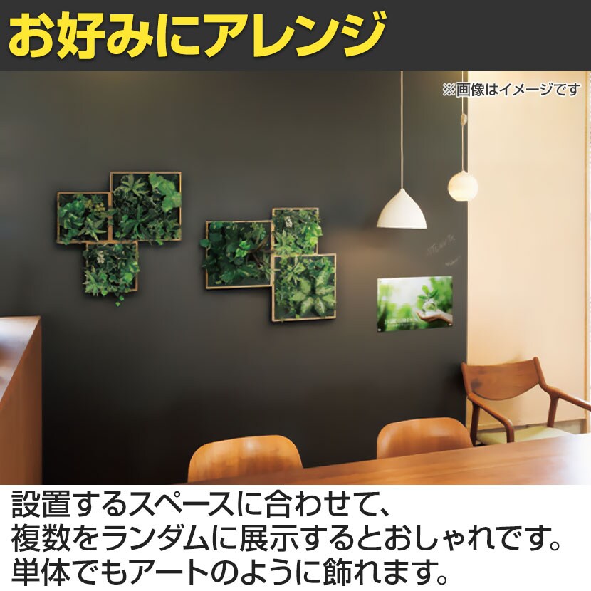 送料無料】 ベルク フェイクグリーン ウォールグリーン マグネット