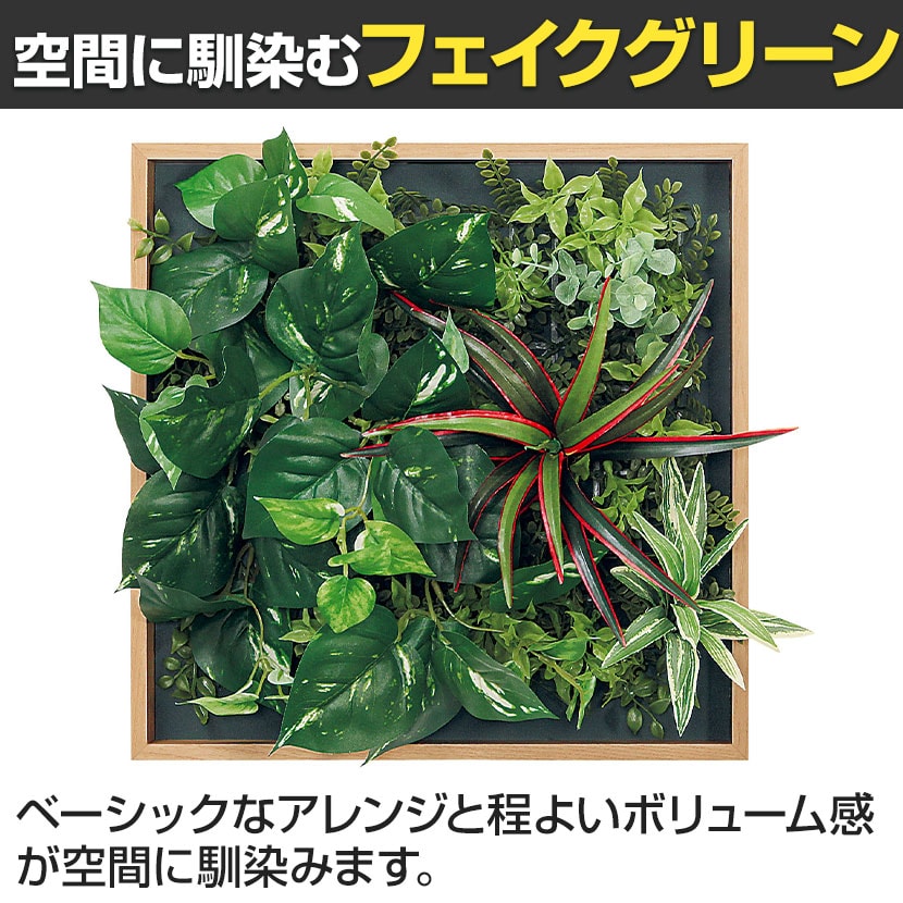 送料無料】 ベルク フェイクグリーン ウォールグリーン マグネット