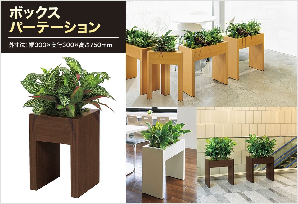 単体でも使いやすいアーチデザインの箱型スタイル