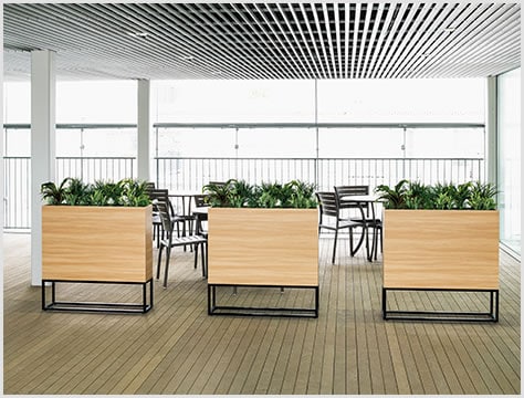 シンプルでバランスの良いデザイン