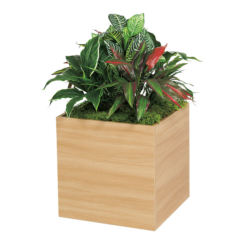 xN tFCNO[ O[X^h X^bLOv^[ BOXv^[ i` lH  GR2549 500×s500×700mm