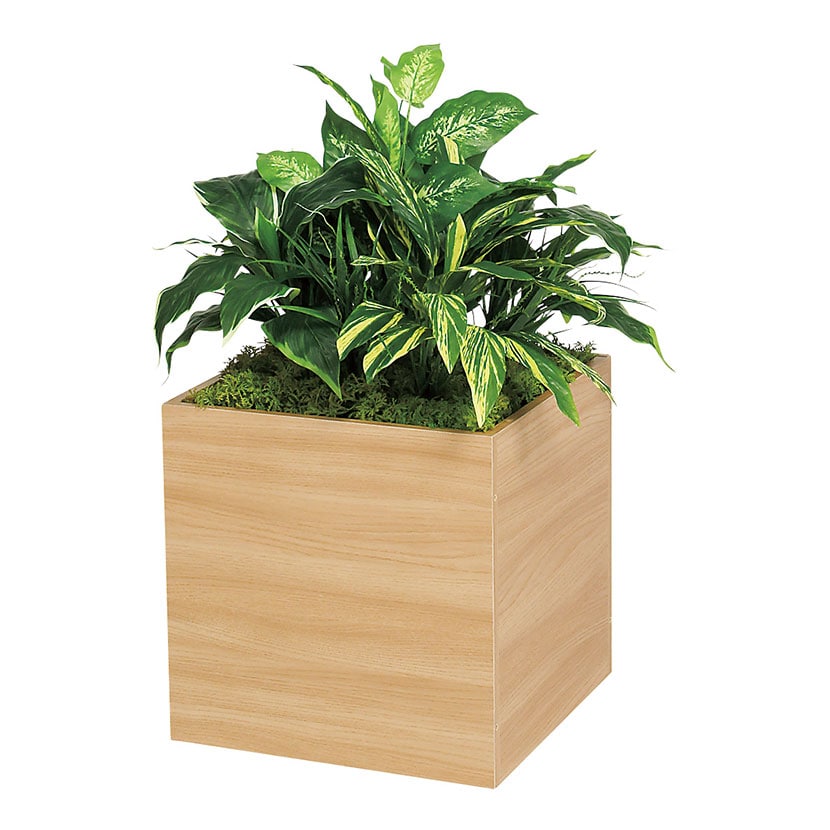 xN tFCNO[ O[X^h X^bLOv^[ BOXv^[ i` lH  GR2550 500×s500×700mm