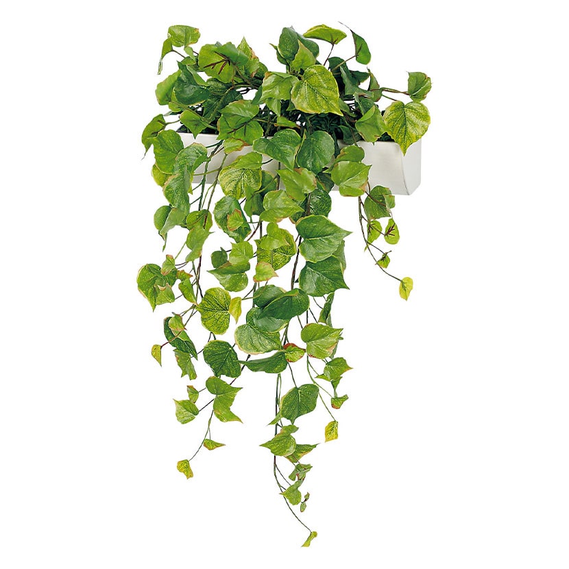 �x���N �t�F�C�N�O���[�� �E�H�[���O���[�� �}�O�l�b�g�O���[�� �|�b�g�^�C�vW300 �l�H ���� GR4489 ��380×���s300×����600mm