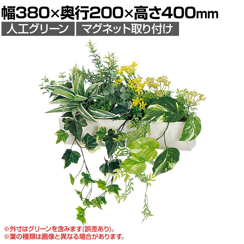 送料無料】 ベルク フェイクグリーン ウォールグリーン マグネット