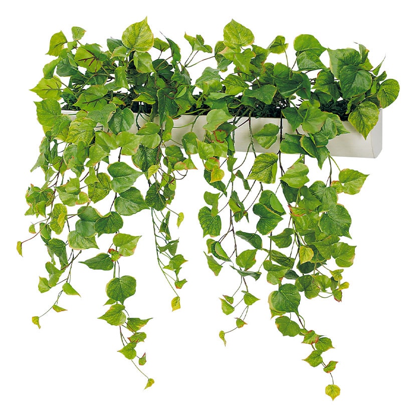 �y3��25�����ח\��z�x���N �t�F�C�N�O���[�� �E�H�[���O���[�� �}�O�l�b�g�O���[�� �|�b�g�^�C�vW600 �l�H ���� GR4493 ��680×���s300×����600mm