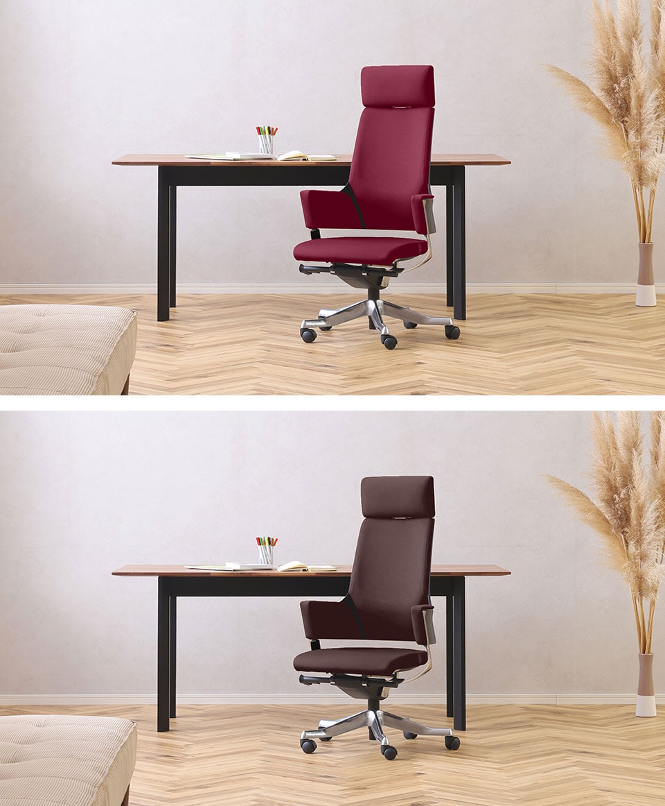 DELPHI-HF 使用イメージ1