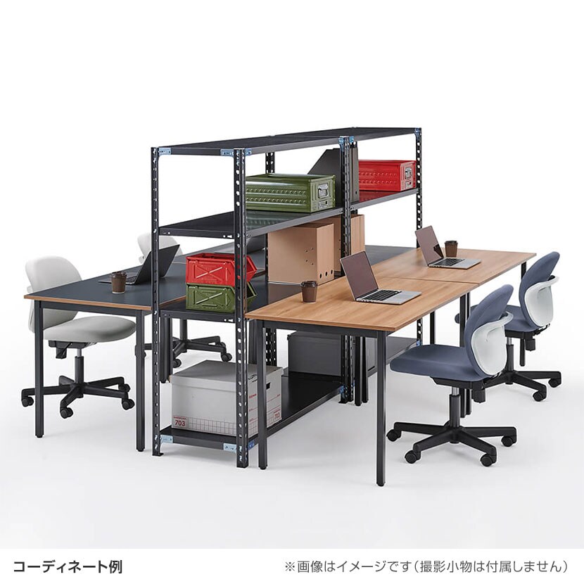 送料無料】 【抗菌加工】Garage(ガラージ) 日本製 軽量棚ABラック