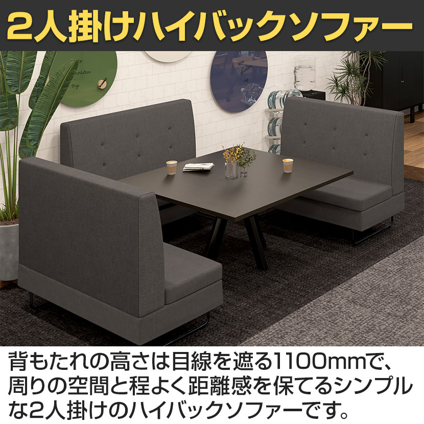 C.C.様 2人掛けソファ ソファ 2人掛け 幅127cm 座面高さ48cm 大人かわいい おしゃれ 2P