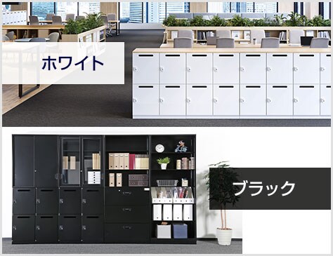 カラーは選べる2タイプ