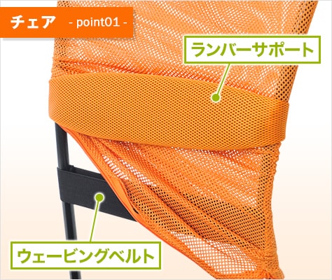 ダブルランバーサポート