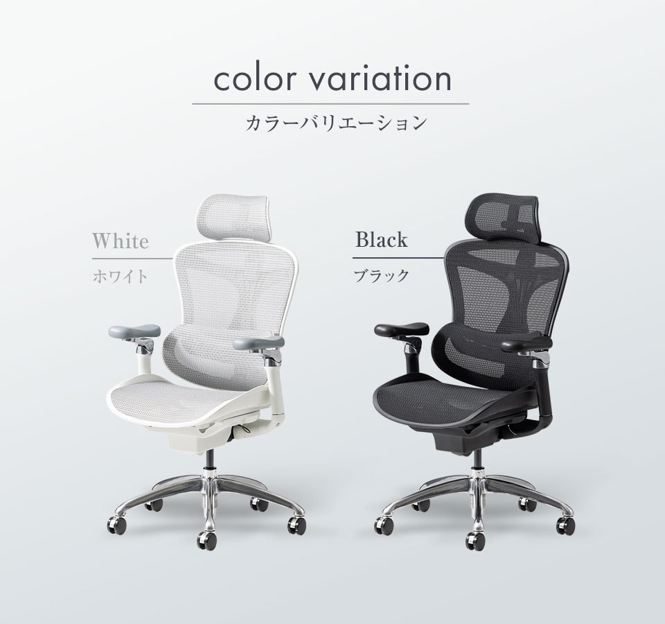 カラーバリエーション