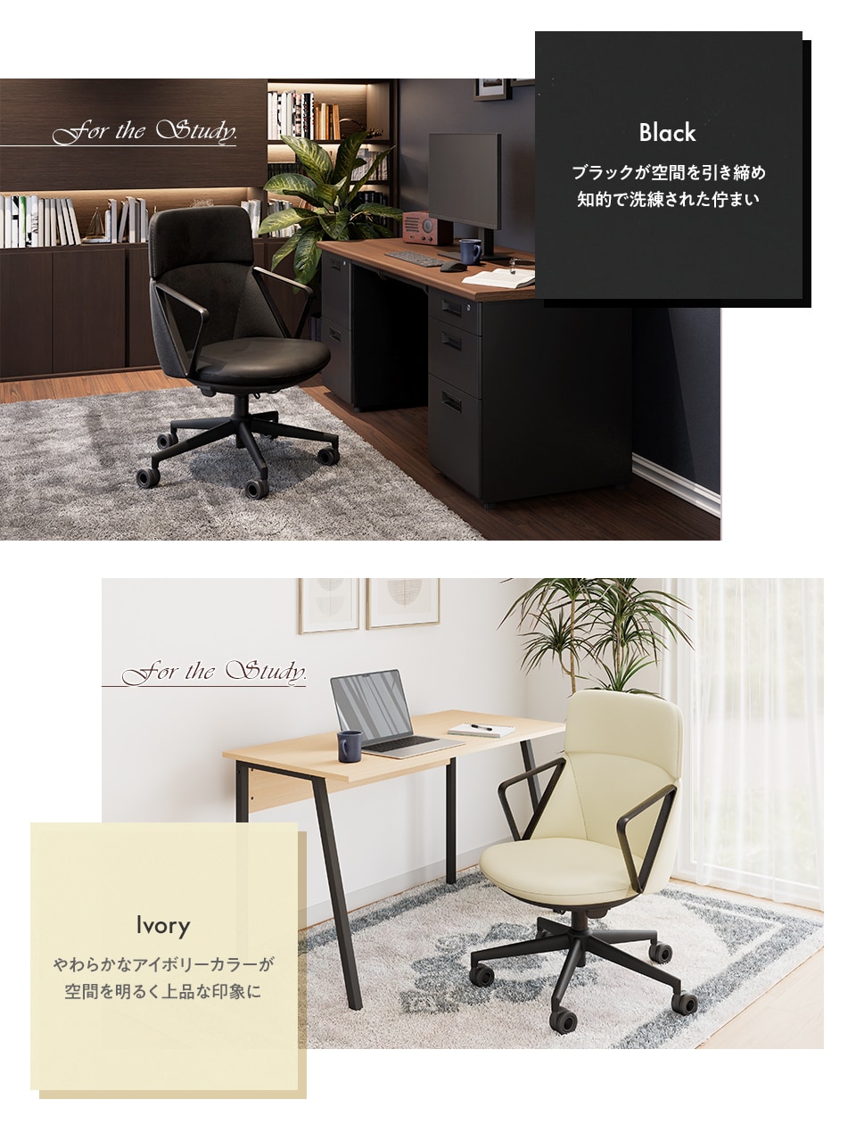 カラーバリエーション