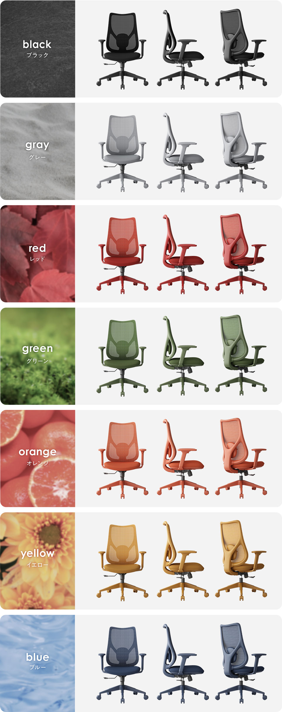 OC-CO-PAL2 バリエーション1