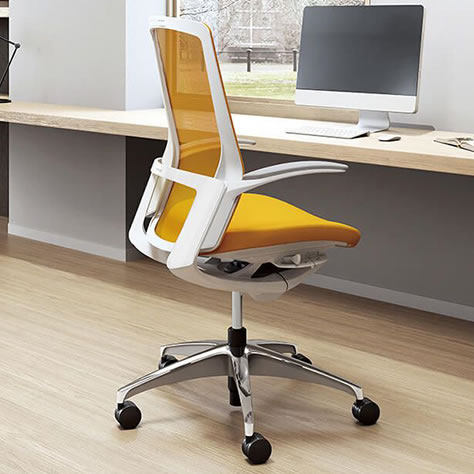 ホワイトボディ×ホワイトパネル