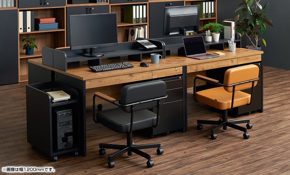 PESPA2-DKT1006 使用イメージ1