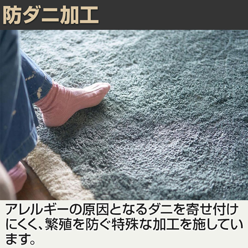 送料無料】 SIEVE (シーヴ) ブレンド ラグ アクセントカラー