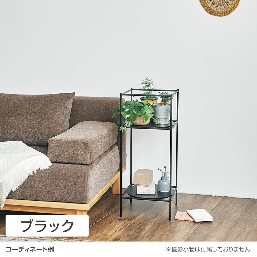 送料無料】 SIEVE (シーヴ) アンテナ プランツラック インテリア