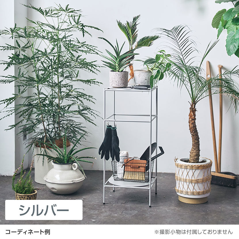 観葉植物 インテリア 棚 植物棚 アイアンラック 多肉植物 観葉植物