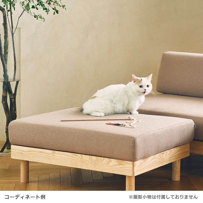送料無料】 SIEVE (シーヴ) モーニング デイベッド ソファ オットマン