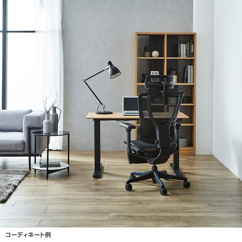 送料無料】 エルゴヒューマン フィット2 ライト Ergohuman FIT2 Lite