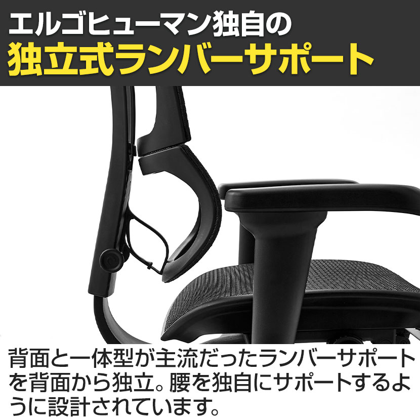 エルゴヒューマン フィット オフィスチェア ブラック エルゴヒューマン（Ergohuman） フィット2 限定モデル・メーカー組立済