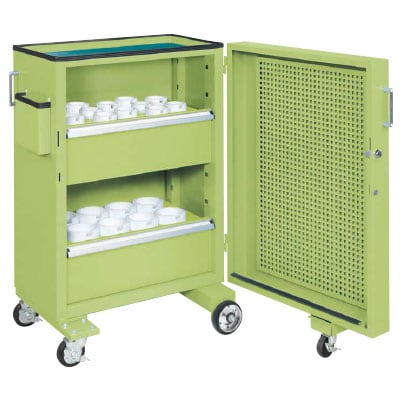 �T�J�G �c�[�����O�L���r�l�b�g���S�� �X�C���O�h�A�t�� ��700×���s500×����1095mm TLC-F2GCB