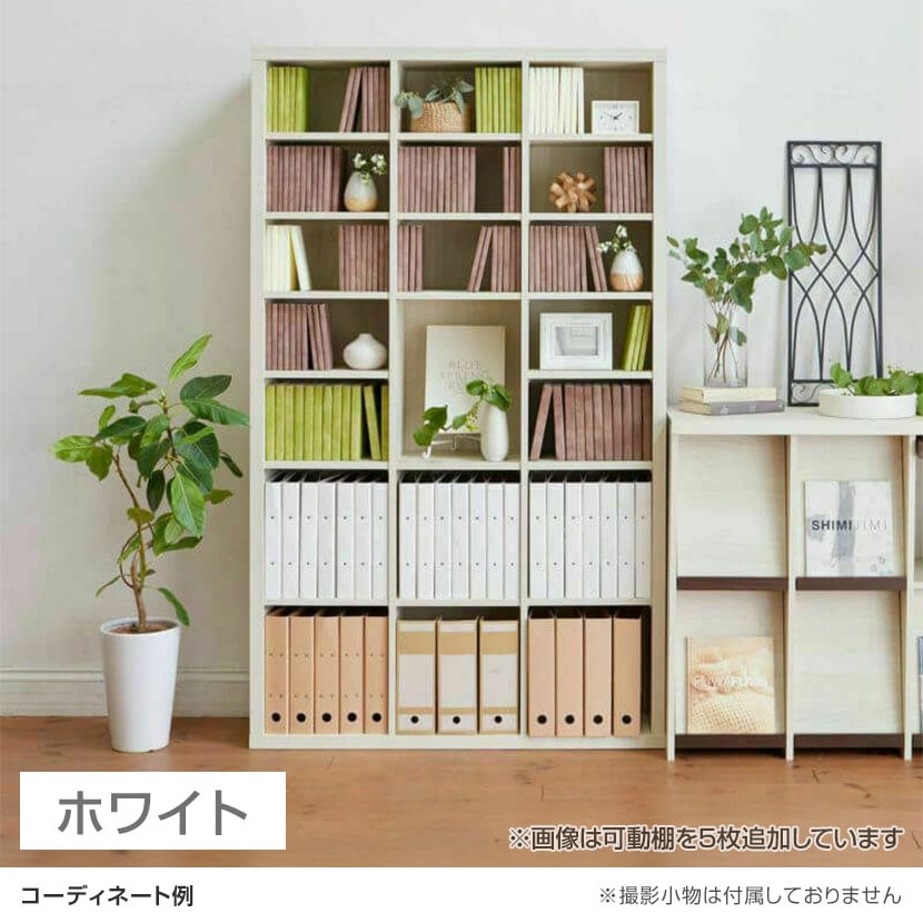 送料無料】 フリーラック 本棚 全棚可動 セパルテック SEP-1911 幅1100