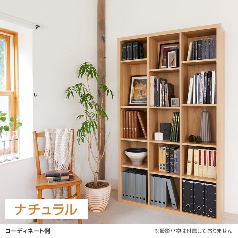 送料無料】 フリーラック 本棚 全棚可動 セパルテック SEP-1911 幅1100