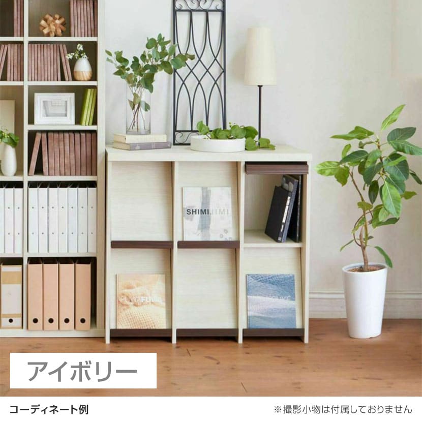 送料無料】 ディスプレイラック フラップ扉 本棚 飾り棚
