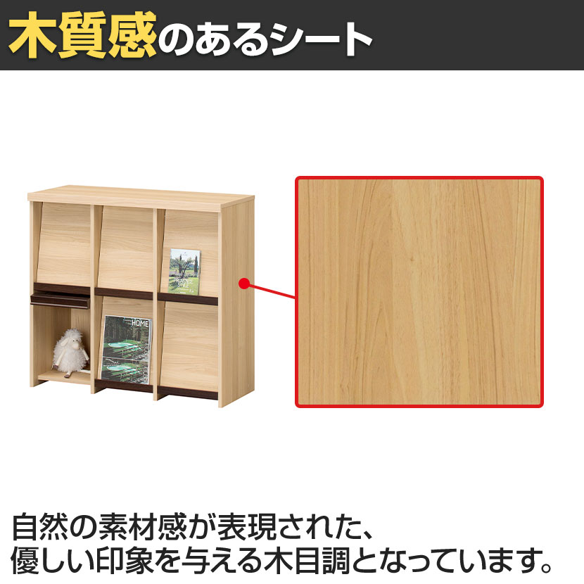 送料無料】 ディスプレイラック フラップ扉 本棚 飾り棚 セパルテック