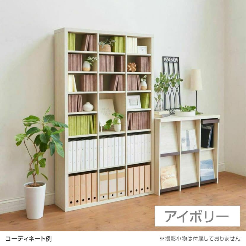 送料無料】 ディスプレイラック フラップ扉 本棚 飾り棚 セパルテック