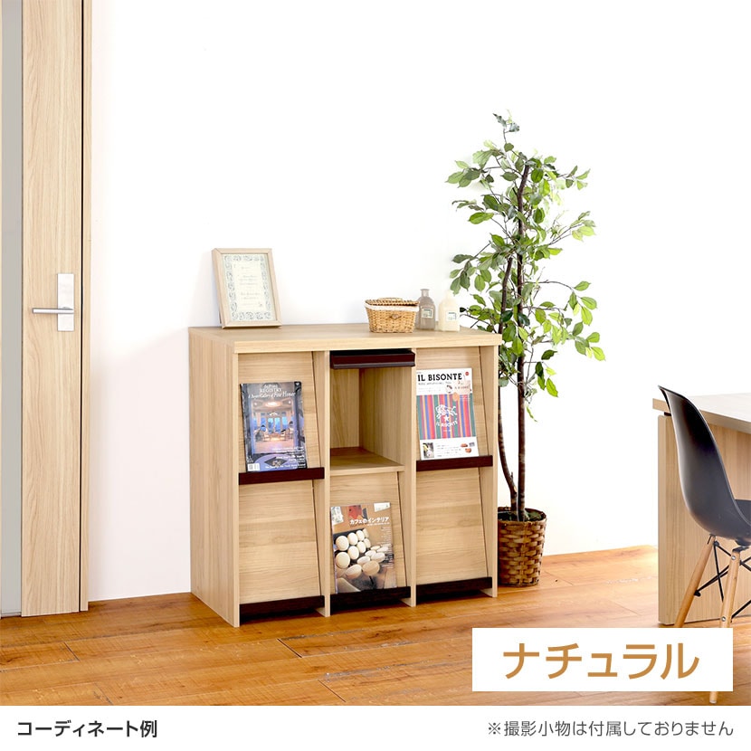 送料無料】 ディスプレイラック フラップ扉 本棚 飾り棚 セパルテック