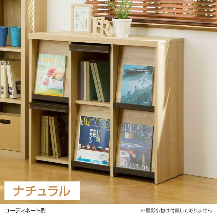 送料無料】 ディスプレイラック フラップ扉 本棚 飾り棚 セパルテック