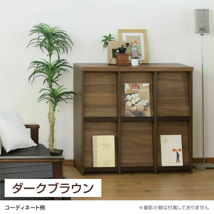 送料無料】 ディスプレイラック フラップ扉 本棚 飾り棚