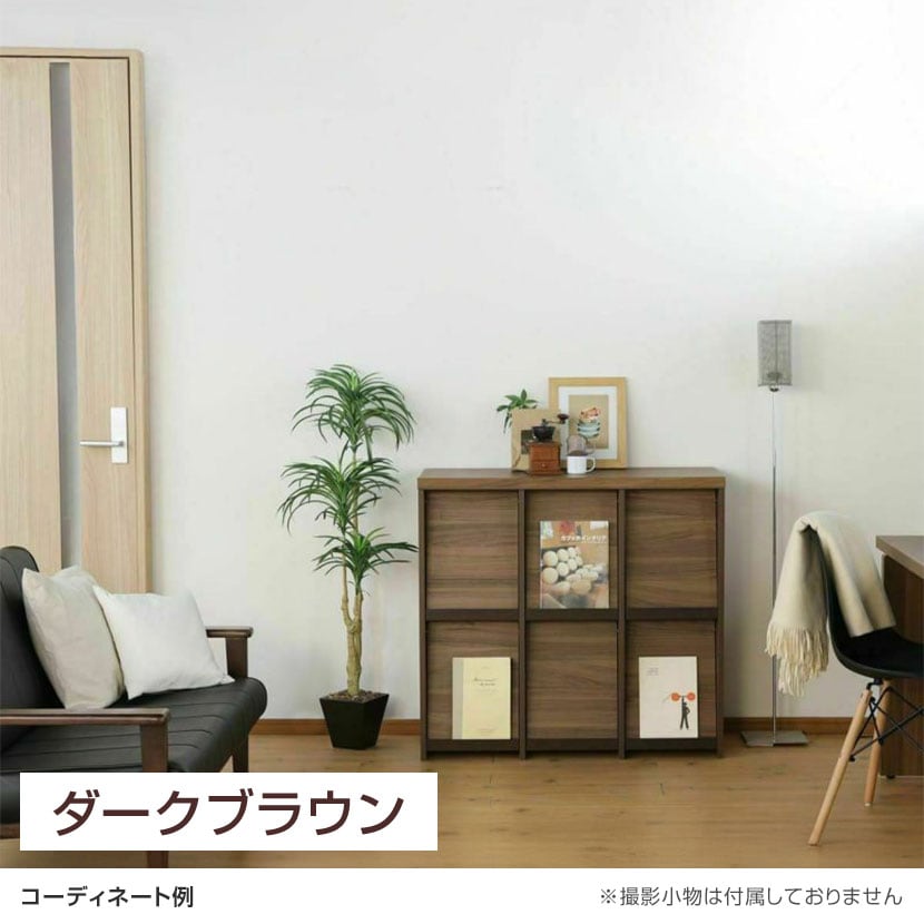 送料無料】 ディスプレイラック フラップ扉 本棚 飾り棚 セパルテック