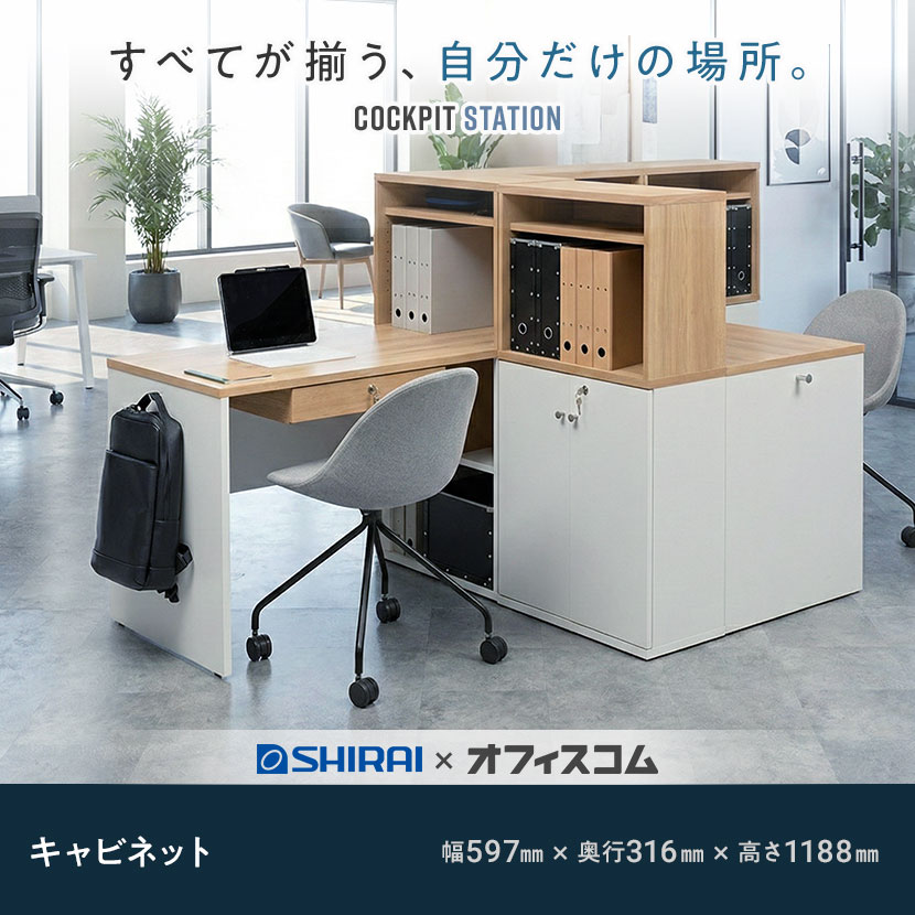 送料無料】 キャビネット システムキャビネット 収納棚 可動棚付き