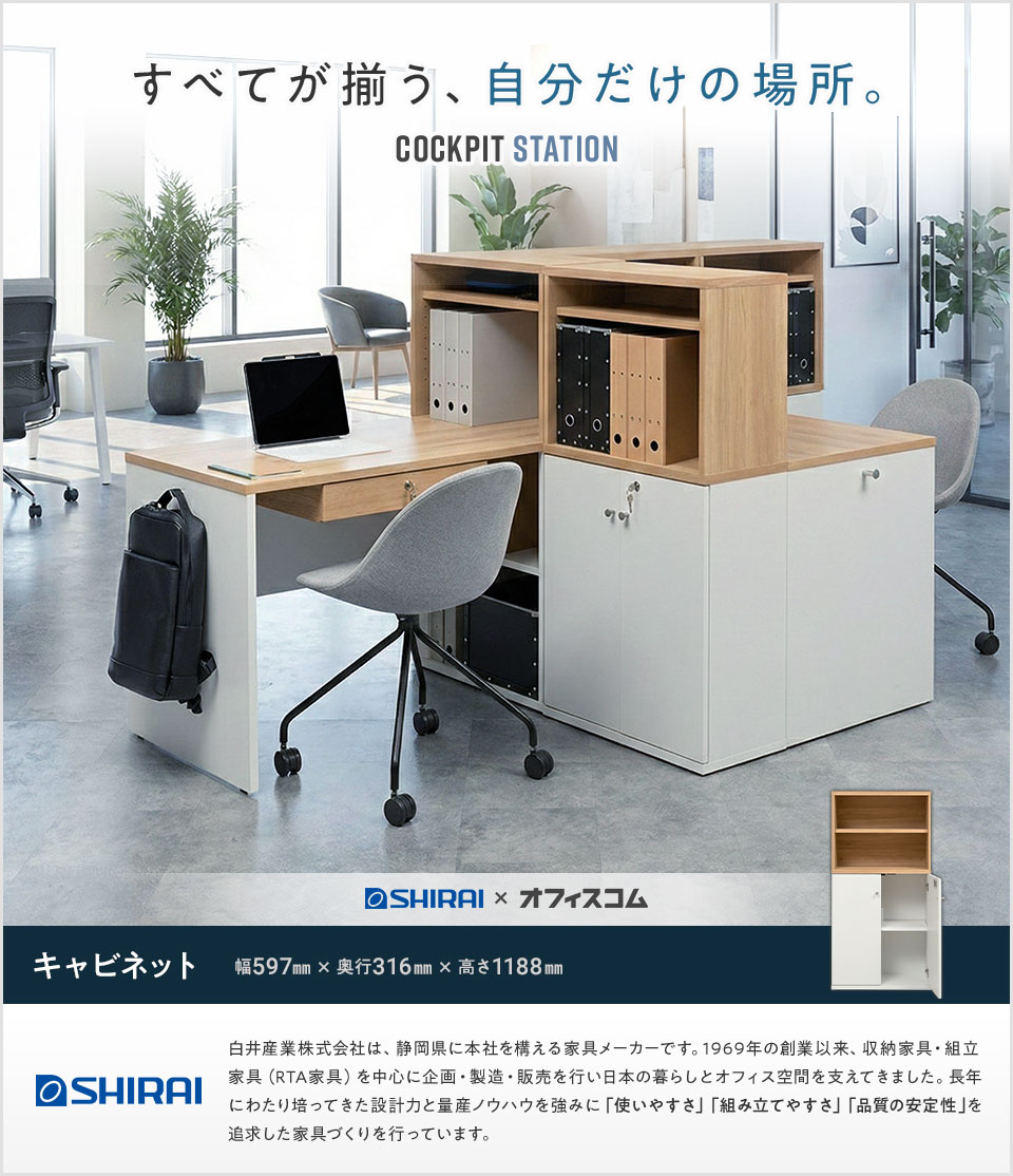 送料無料】 キャビネット システムキャビネット 収納棚 可動棚付き 送料無料】 キャビネット システムキャビネット 収納棚 可動棚付き
